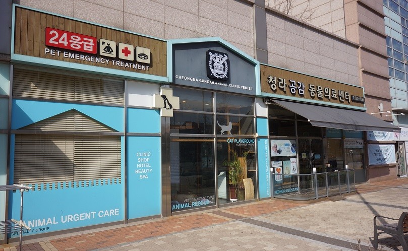 24시 청라공감동물의료센터 사진 1