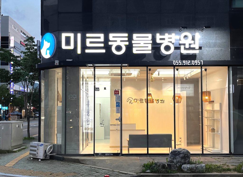 미르동물병원 사진 1