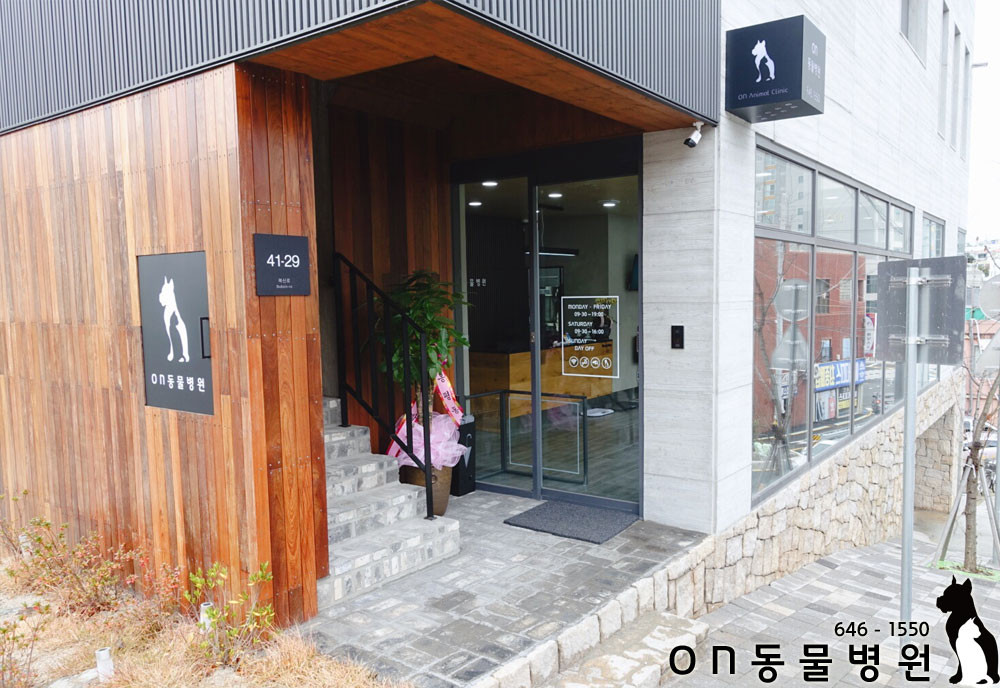on동물병원 사진 1