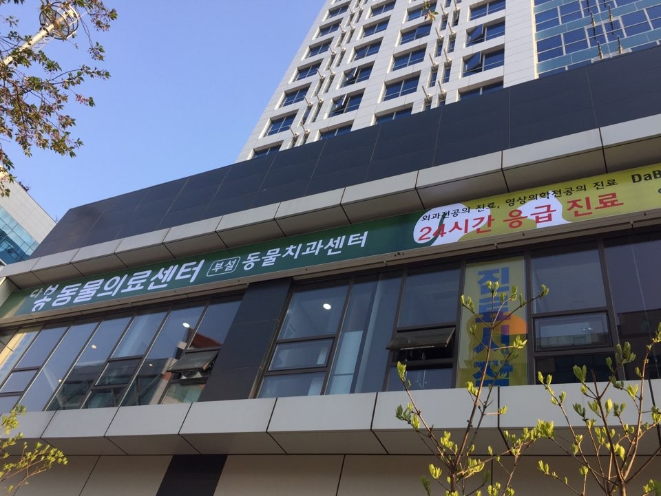 다봄 동물의료센터 사진 1