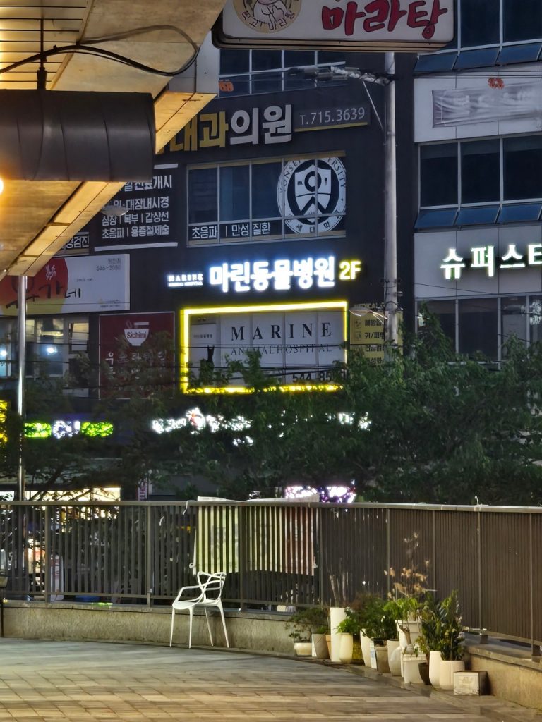 마린동물병원 사진 1