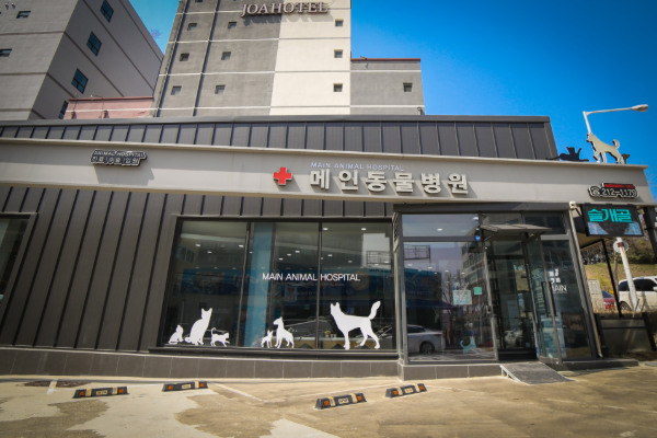 메인동물병원 사진 1