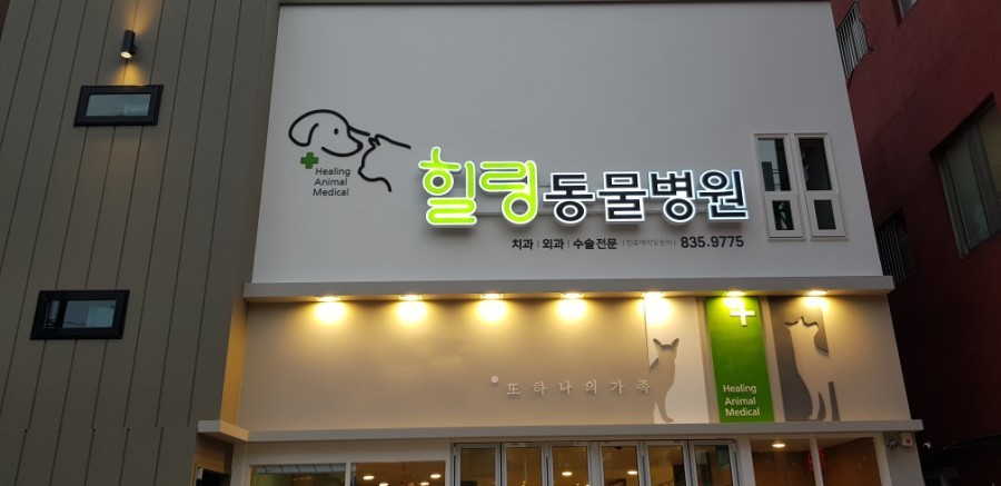 힐링동물병원 사진 1