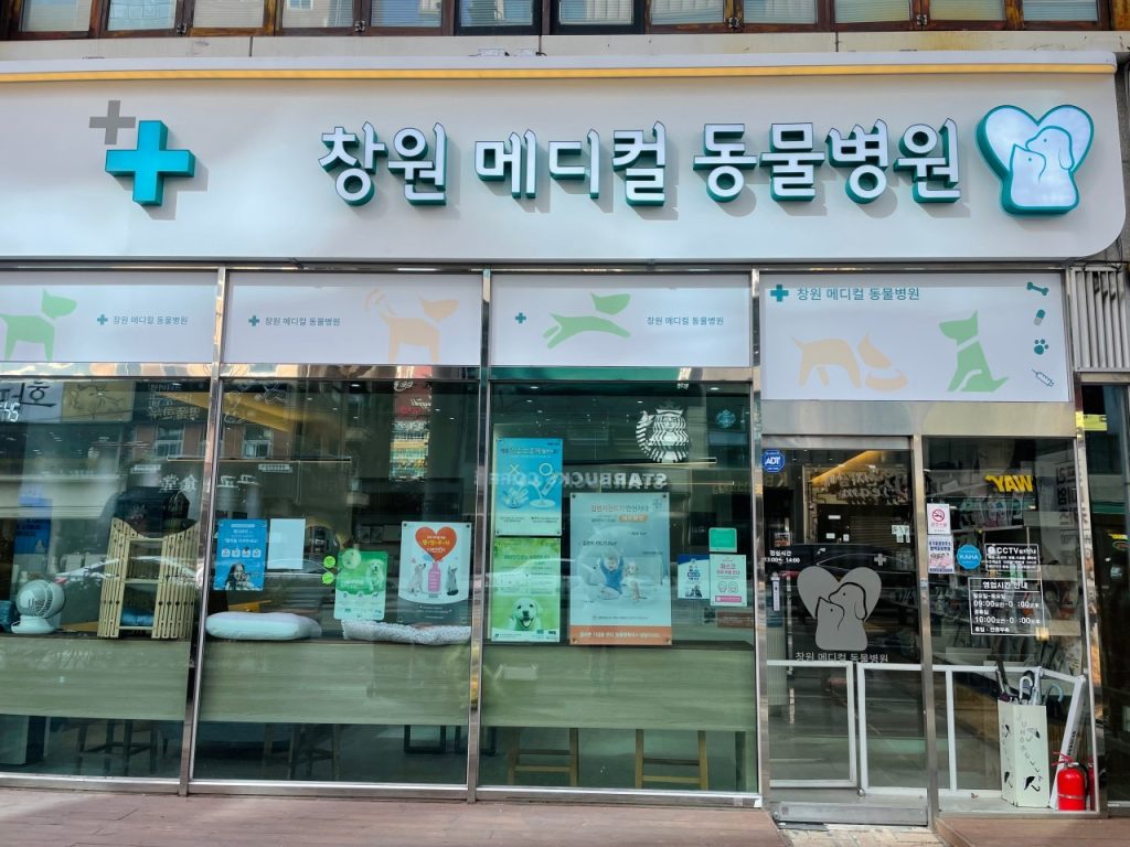 창원메디컬동물병원 사진 1