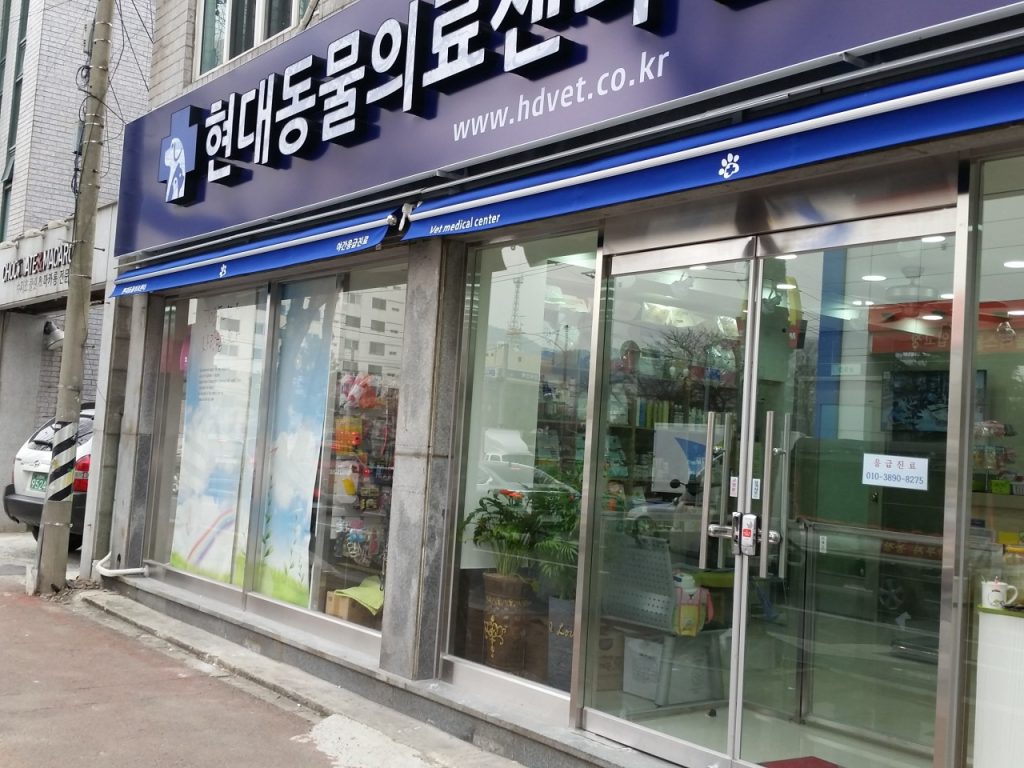 현대동물병원 사진 1