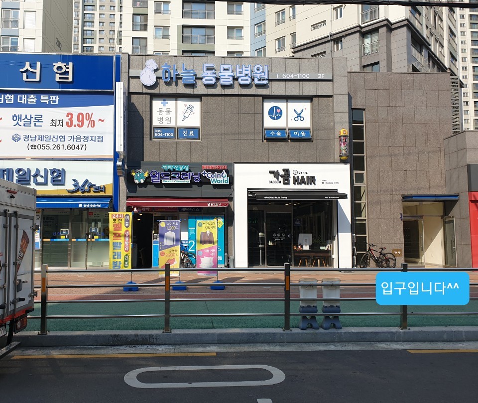 하늘동물병원 사진 1
