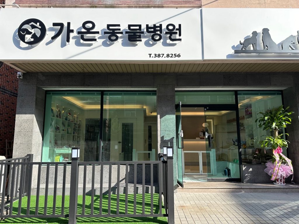 가온동물병원 사진 1