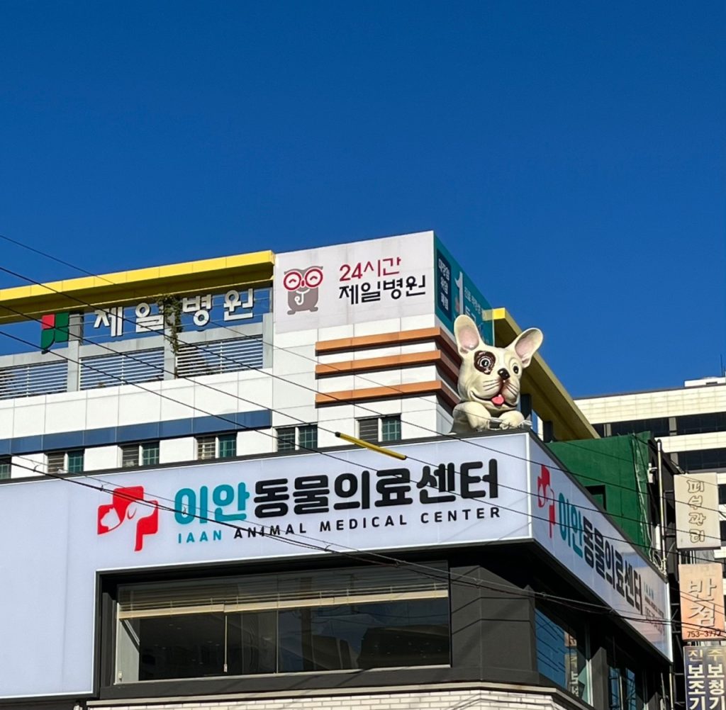 지안동물의료센터 사진 1