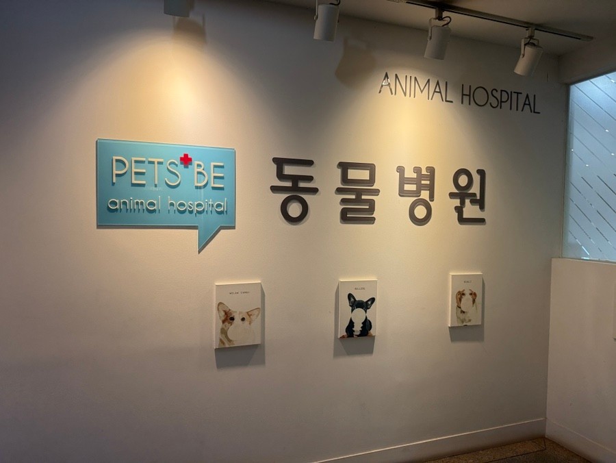페츠비동물병원 사진 1