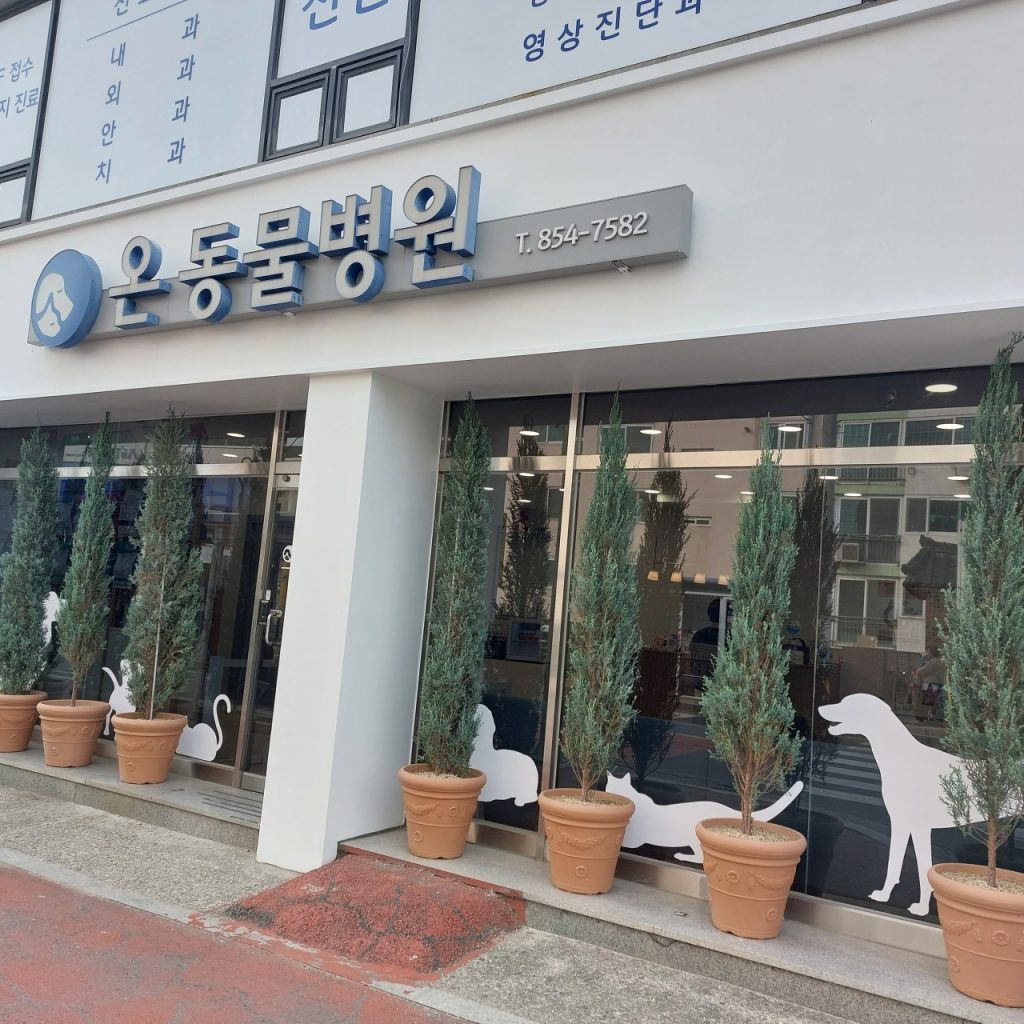 온동물병원 사진 1