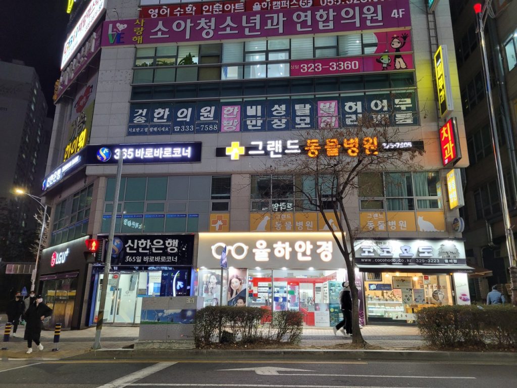 그랜드 동물병원 사진 1