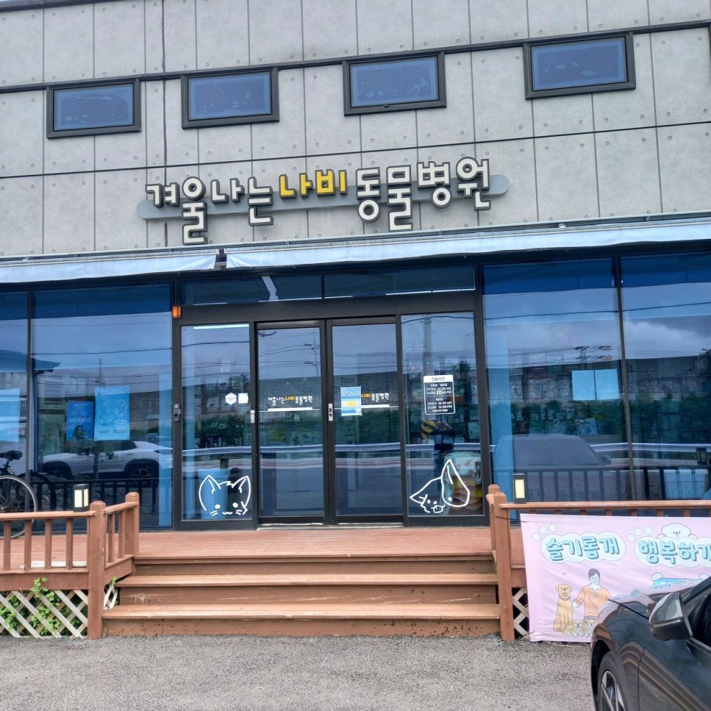 겨울나는나비동물병원 사진 1