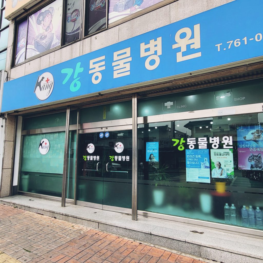 강동물병원 사진 1