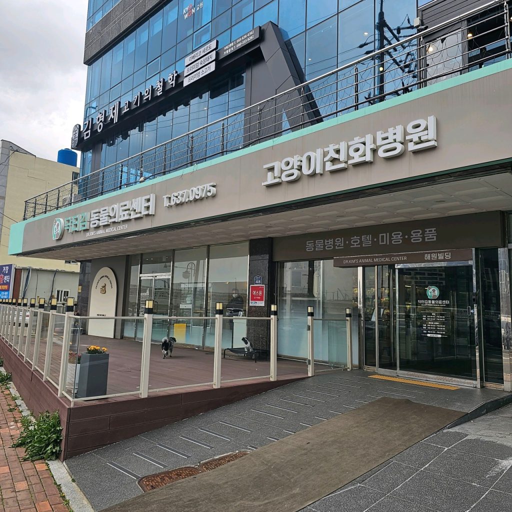 닥터김동물의료센터 사진 1