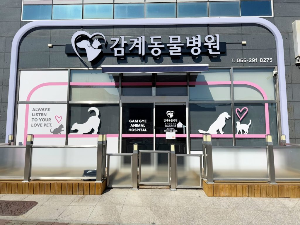 감계동물병원 사진 1