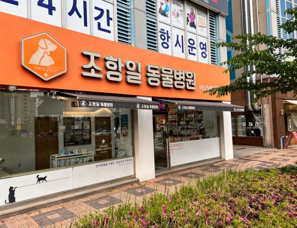 조항일동물병원 사진 1