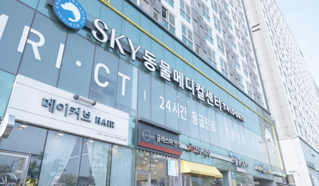 천안24시스카이동물메디컬센터 사진 1