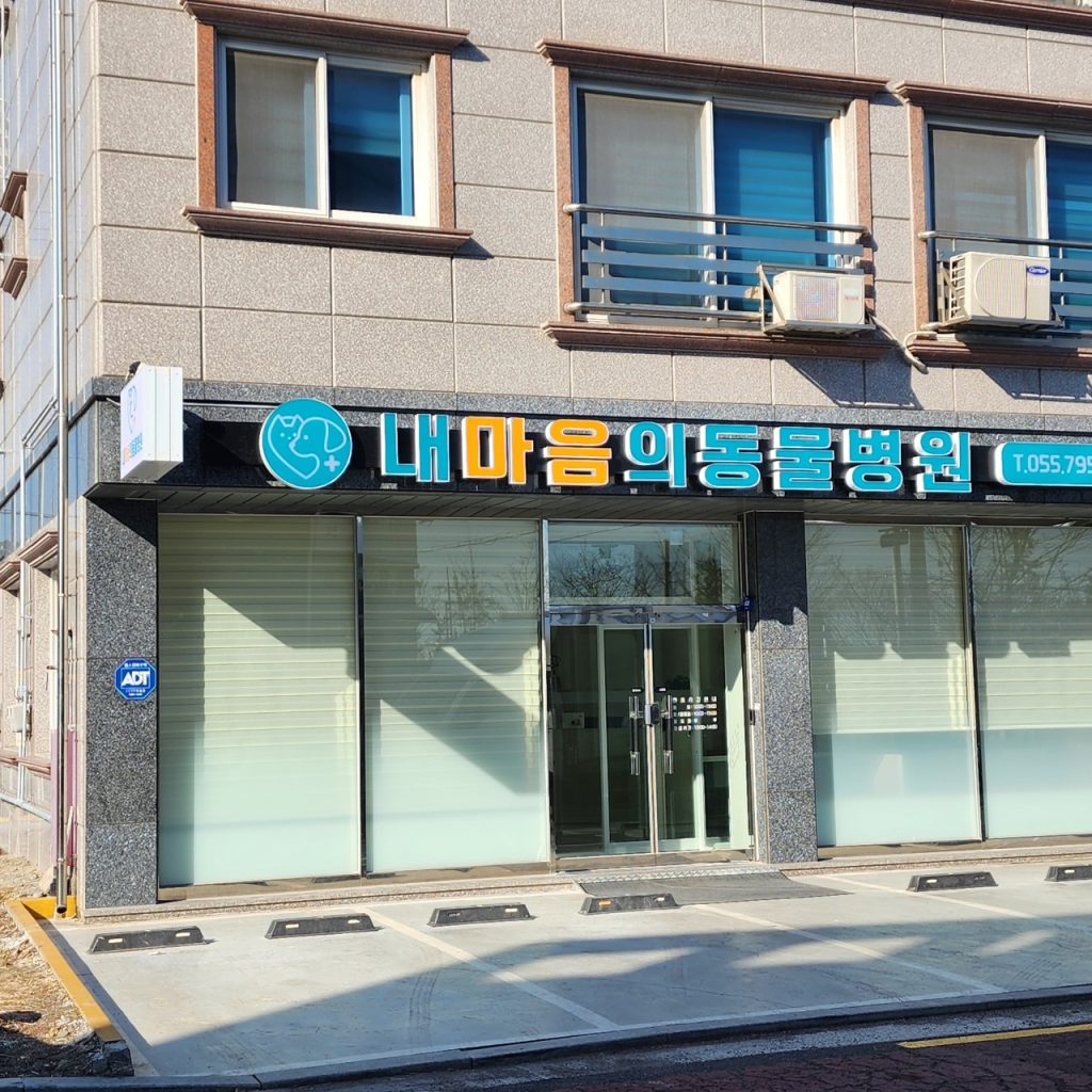 내마음의동물병원 사진 1