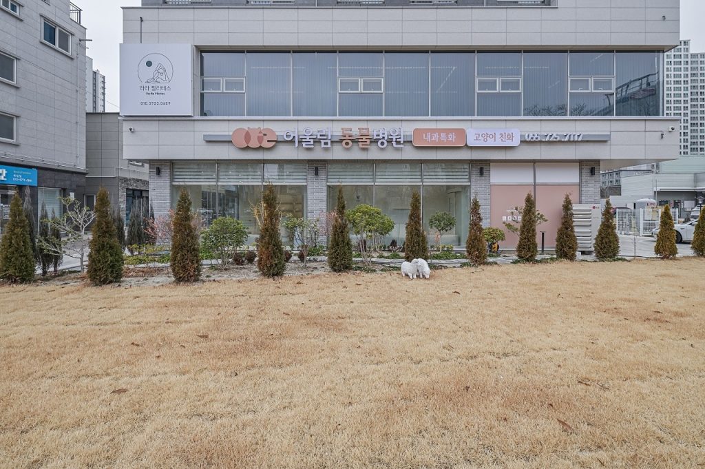 어울림동물병원 사진 1