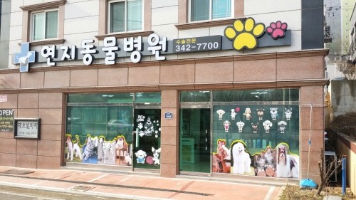 연지동물병원 사진 1