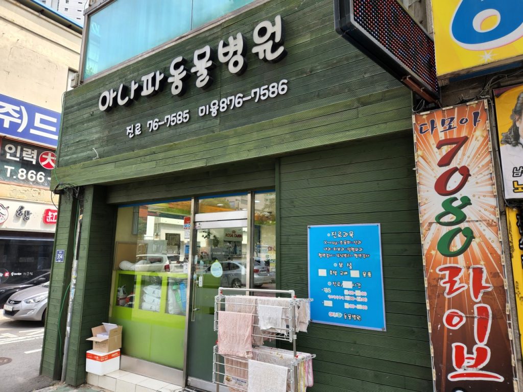 아나파동물병원 사진 1