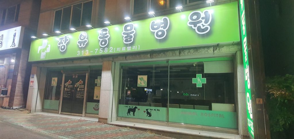 장유동물병원 사진 1