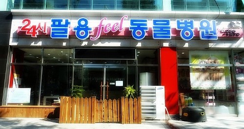 24시팔용feel동물병원 사진 1