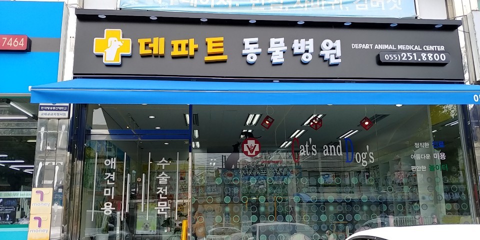 데파트동물병원 사진 1