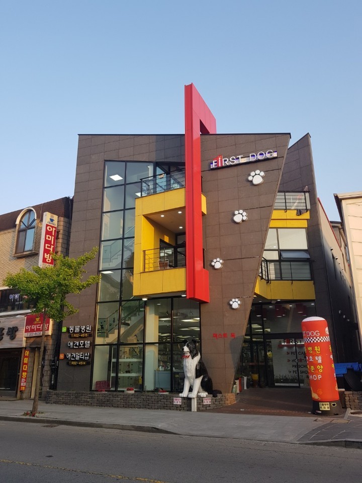 퍼스트동물병원 사진 1