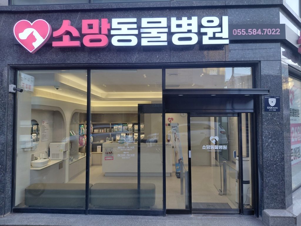 소망동물병원 사진 1