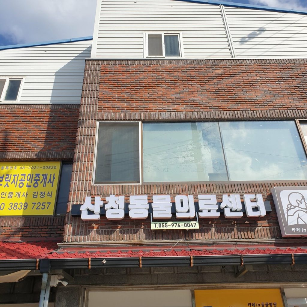 산청동물의료센터 사진 1