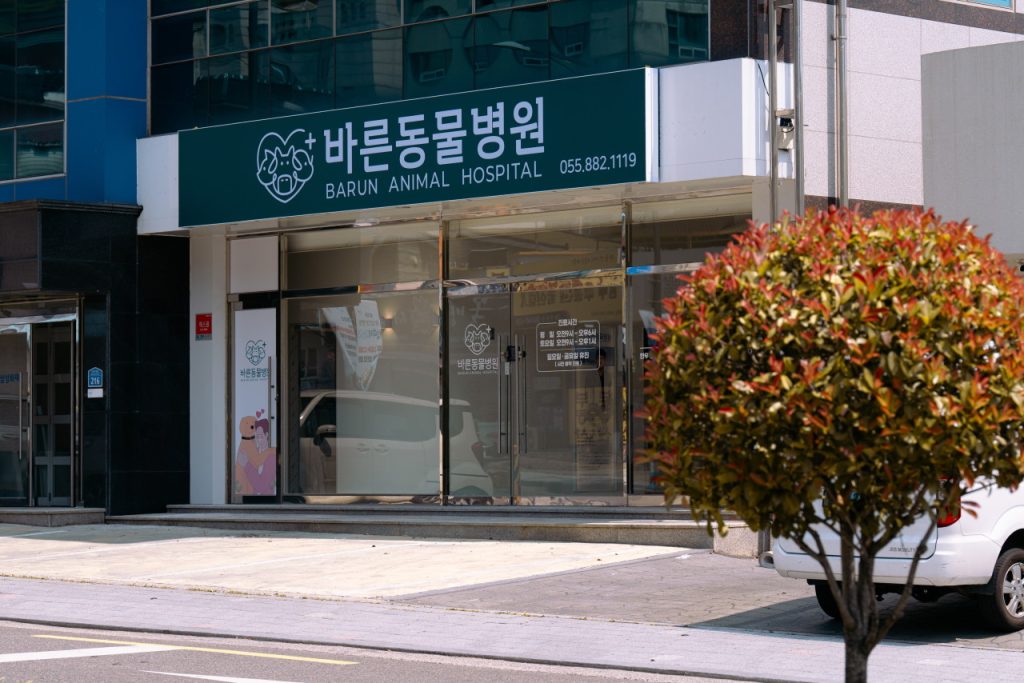 바른동물병원 사진 1