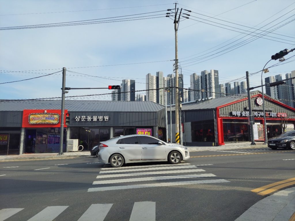 상문동물병원 사진 1