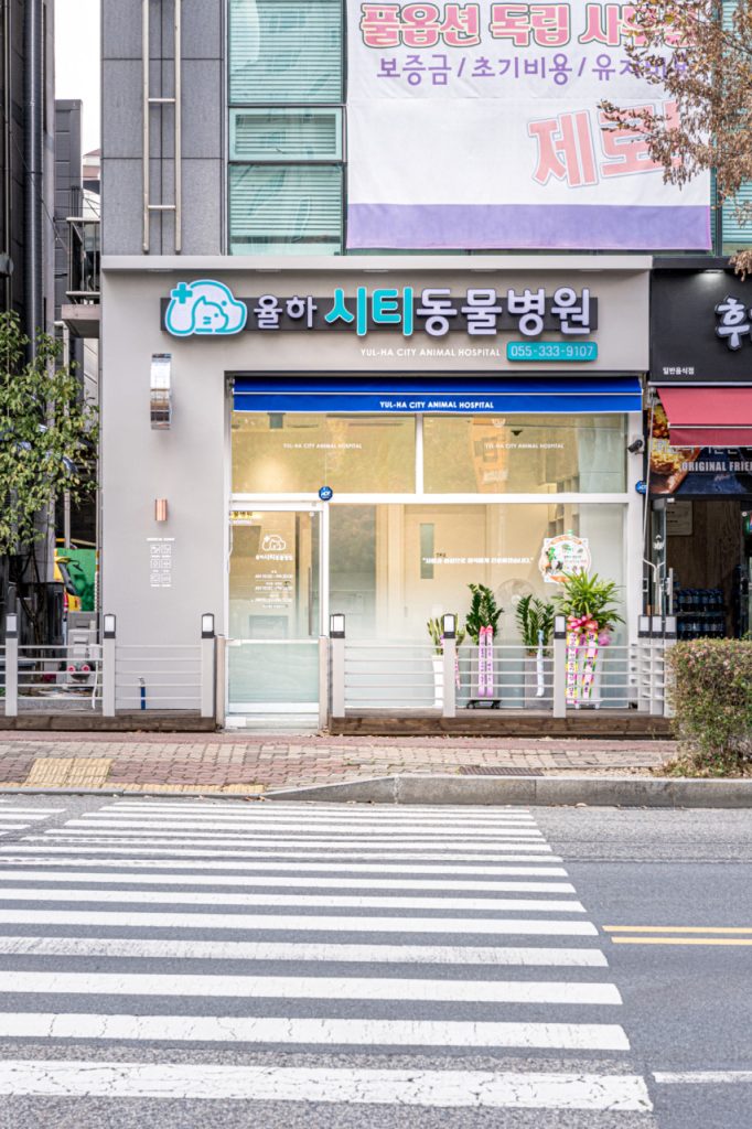 율하시티동물병원 사진 1