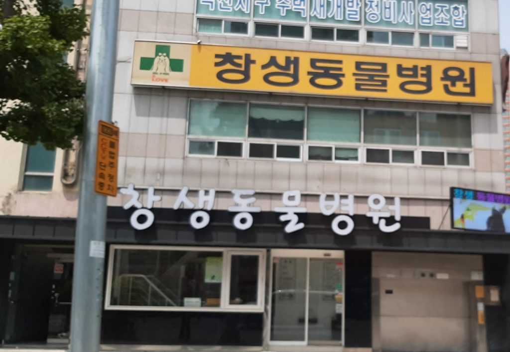 창생동물병원 사진 1