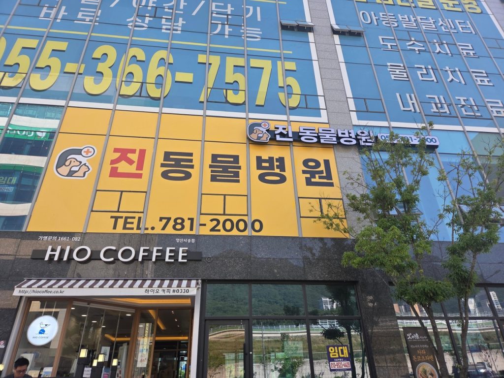 진동물병원 사진 1
