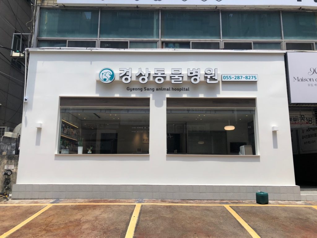 경상동물병원 사진 1