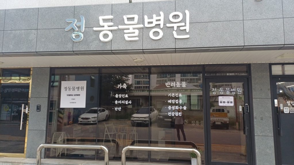 정동물병원 사진 1
