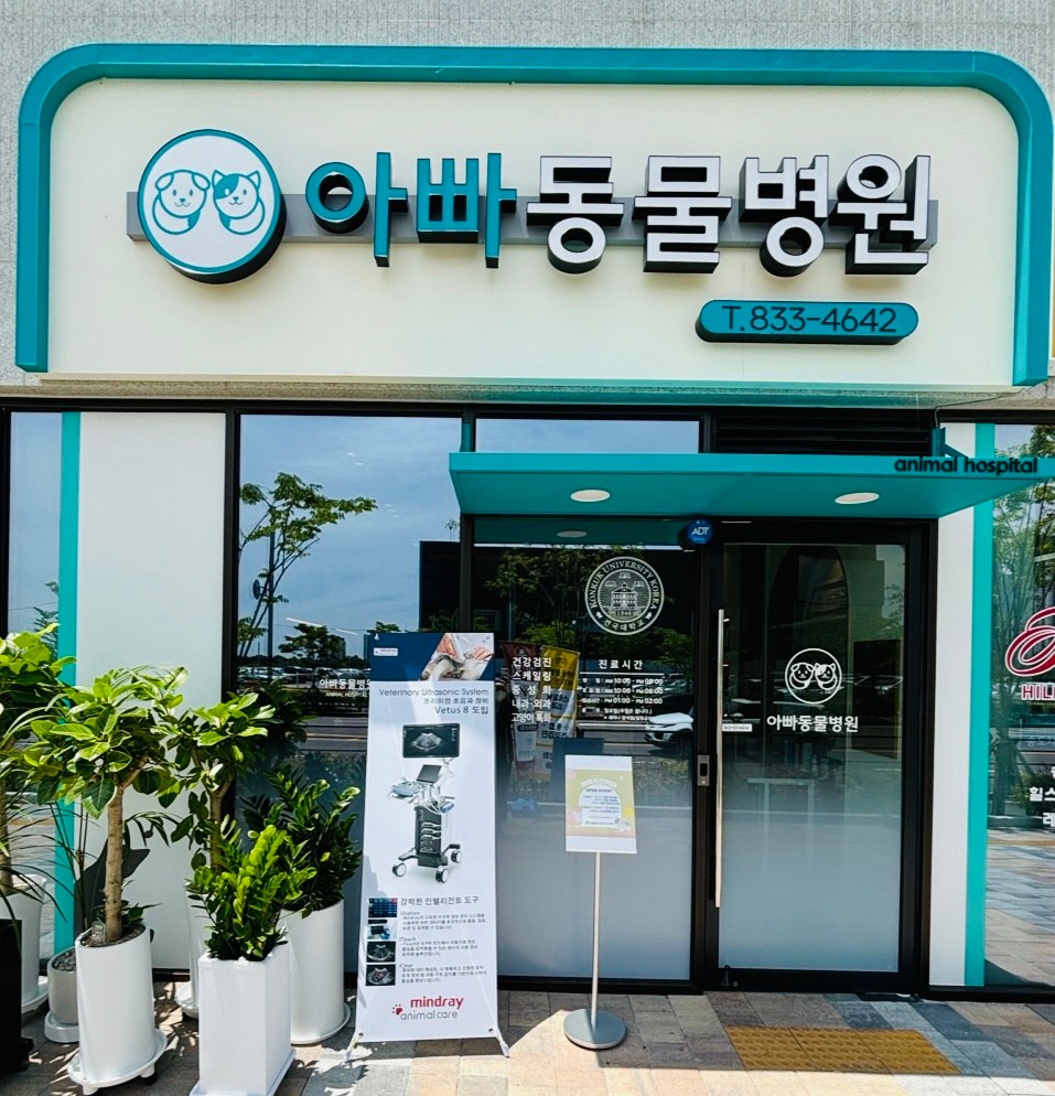 아빠동물병원 사진 1