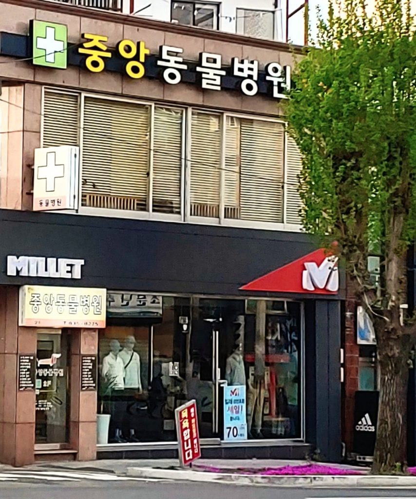 중앙동물병원 사진 1