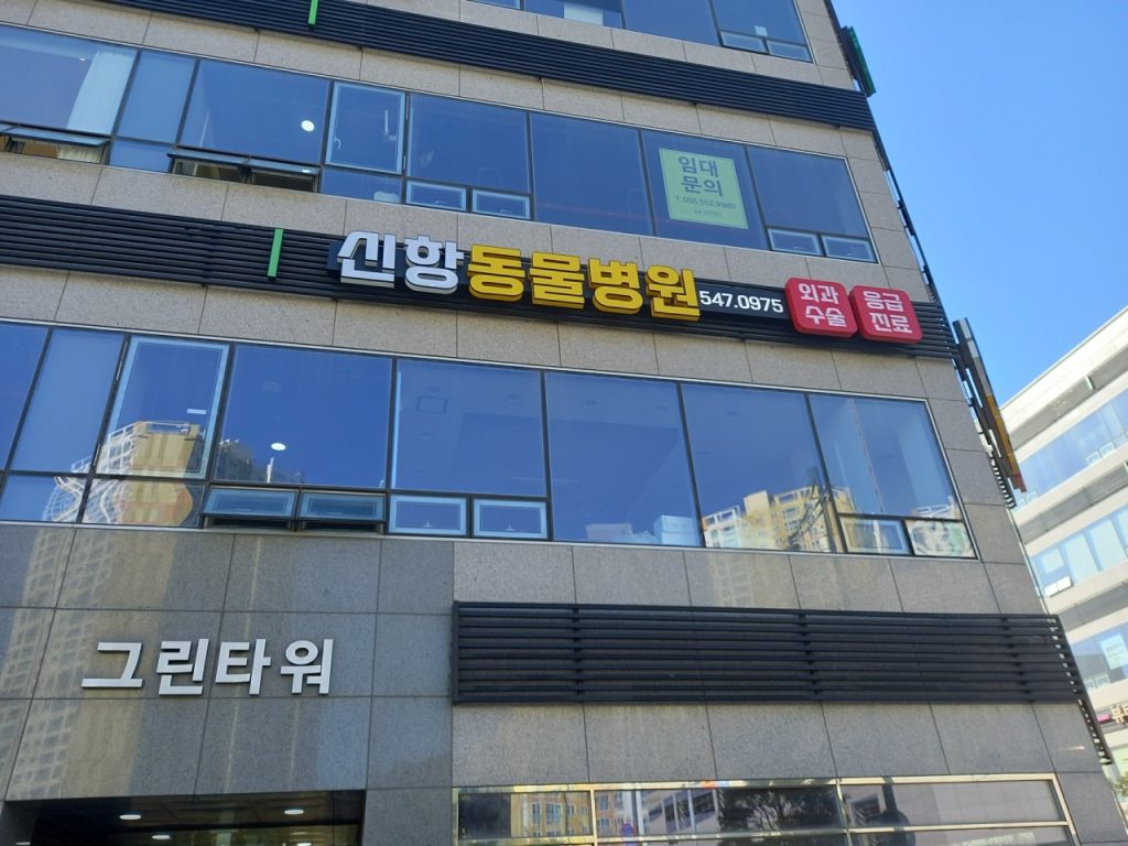 신항동물병원 사진 1