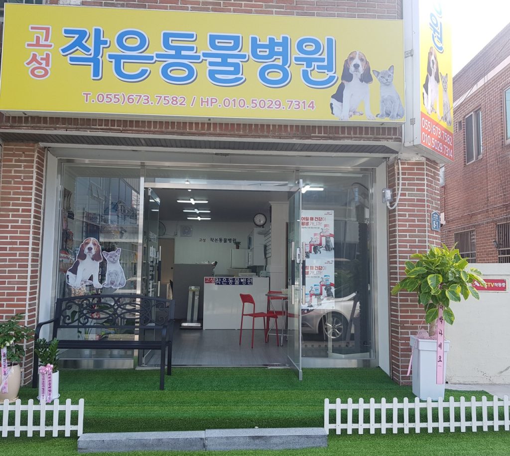 고성작은동물병원 사진 1
