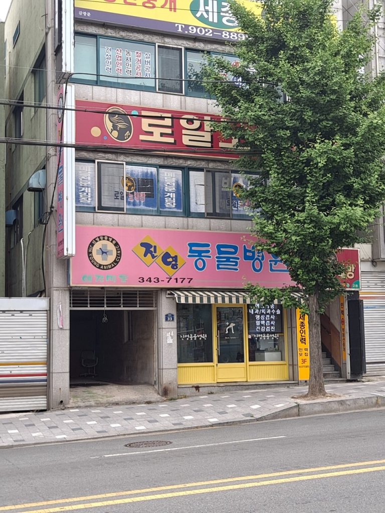 진영동물병원 사진 1