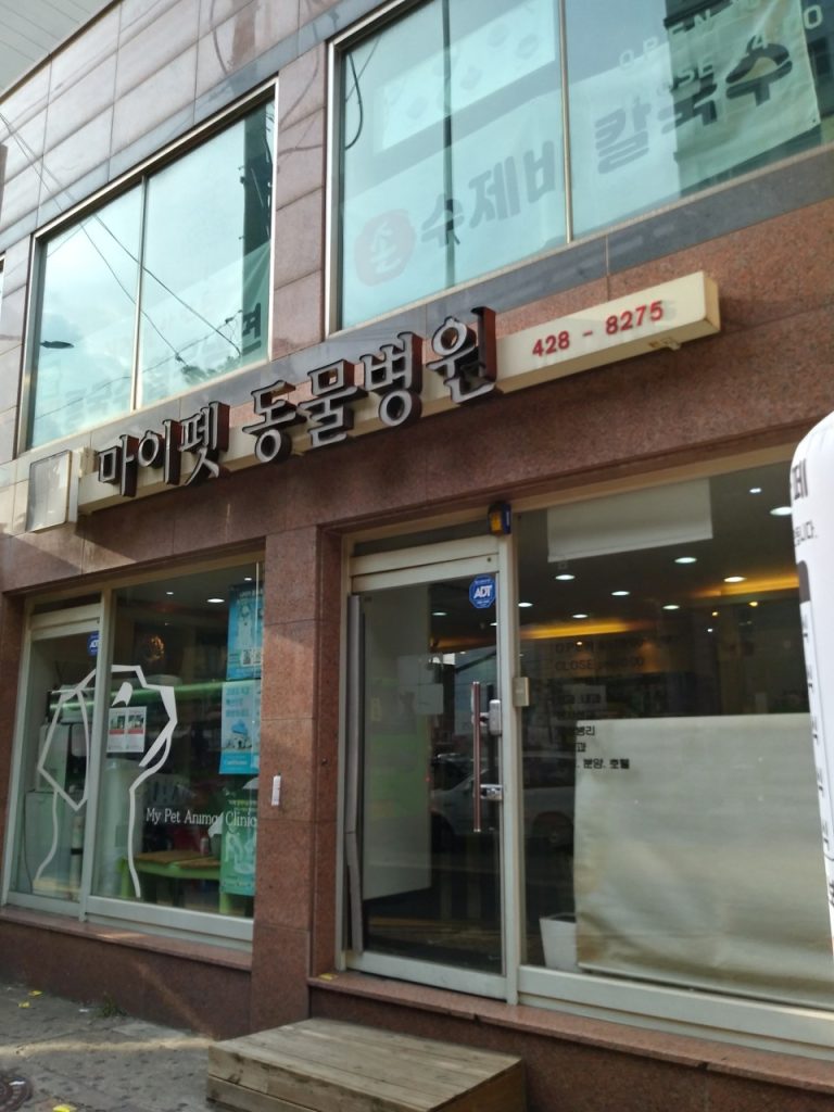 마이펫동물종합병원 사진 1