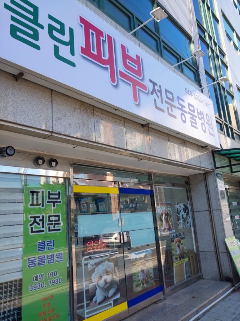 클린피부전문동물병원 사진 1