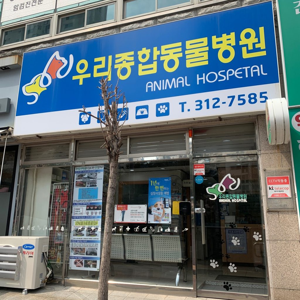 우리종합동물병원 사진 1