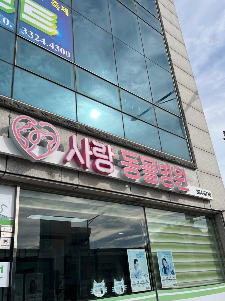 사랑동물병원 사진 1