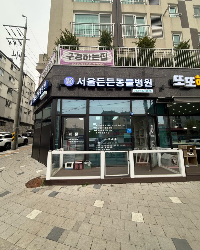 서울든든동물병원 인천 사진 1