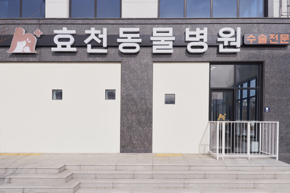 효천동물병원 사진 1