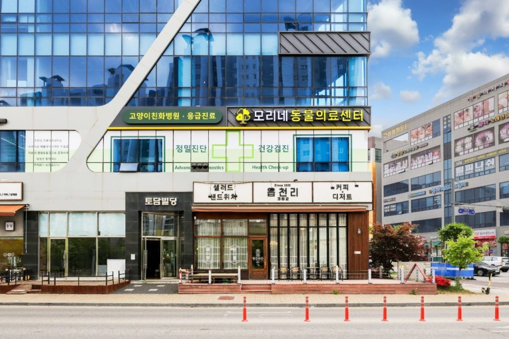 모리네동물의료센터 사진 1